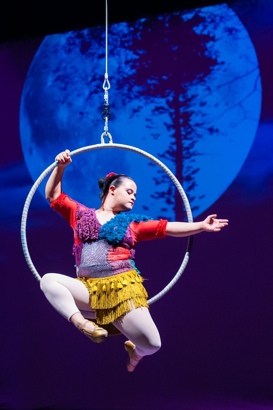 Vida de Circo - Foto 1