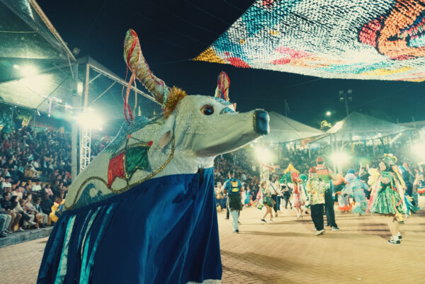 54696986031_55801a944f_k